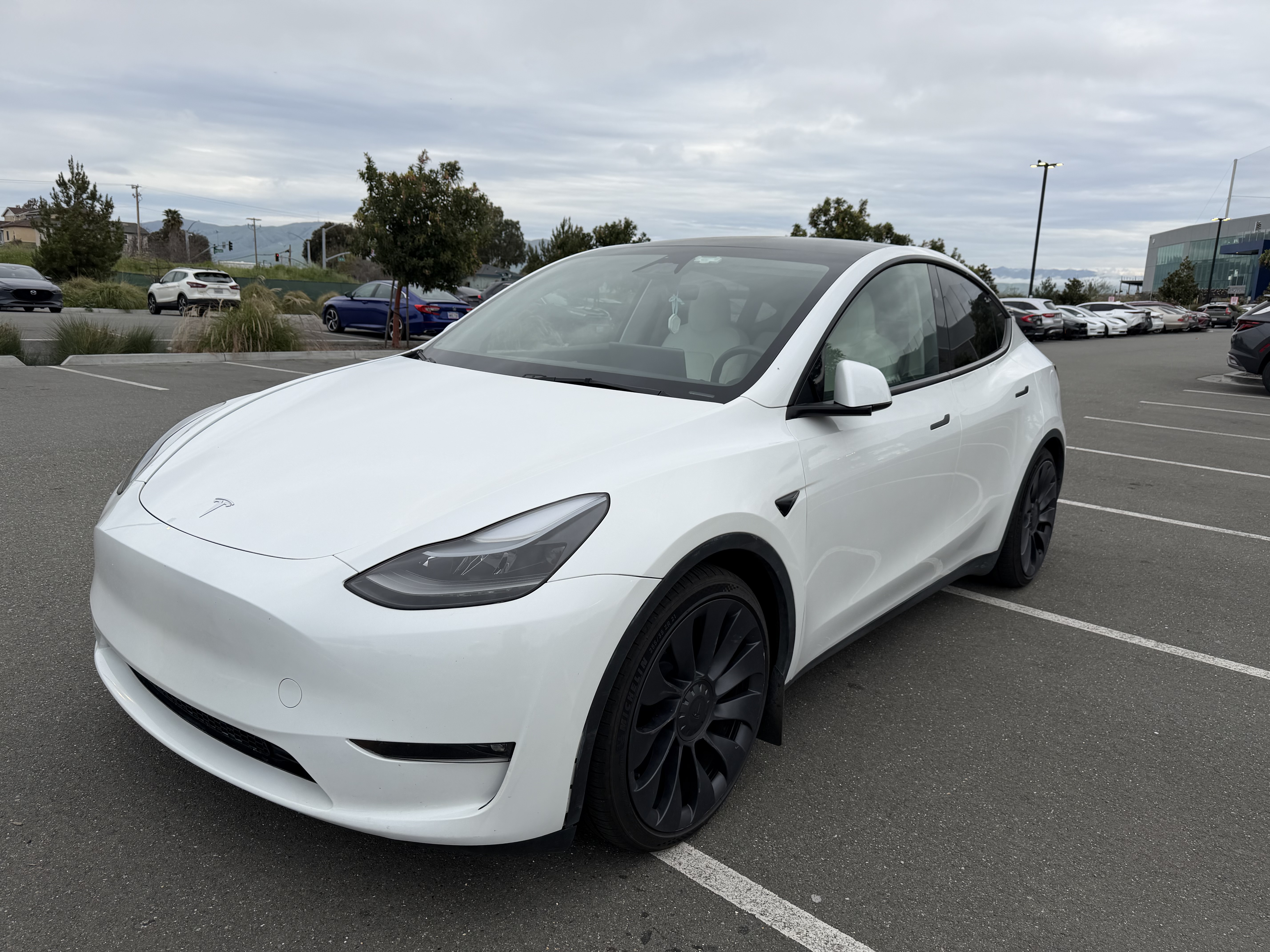 Tesla Model Y Performance