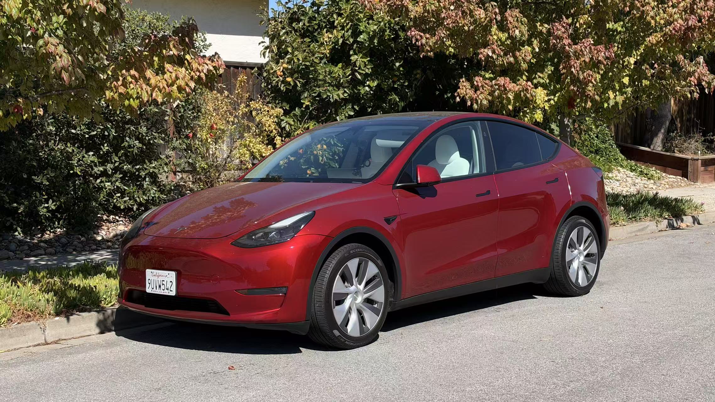 Tesla Y